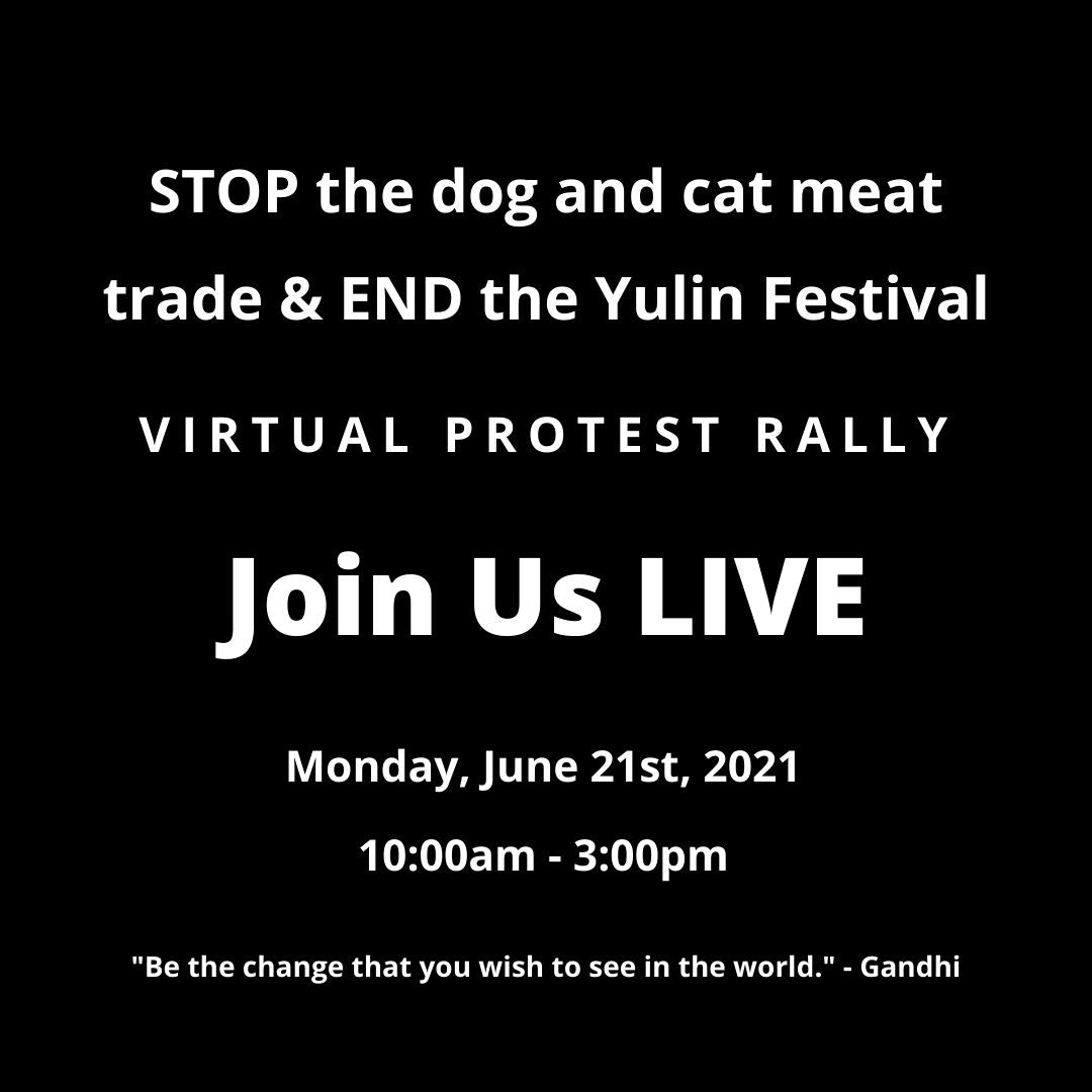 STOP Yulin Festival 2021 - Online Protest Rally
