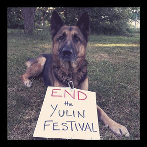 STOP the Yulin Festival and END the dog & cat meat trade