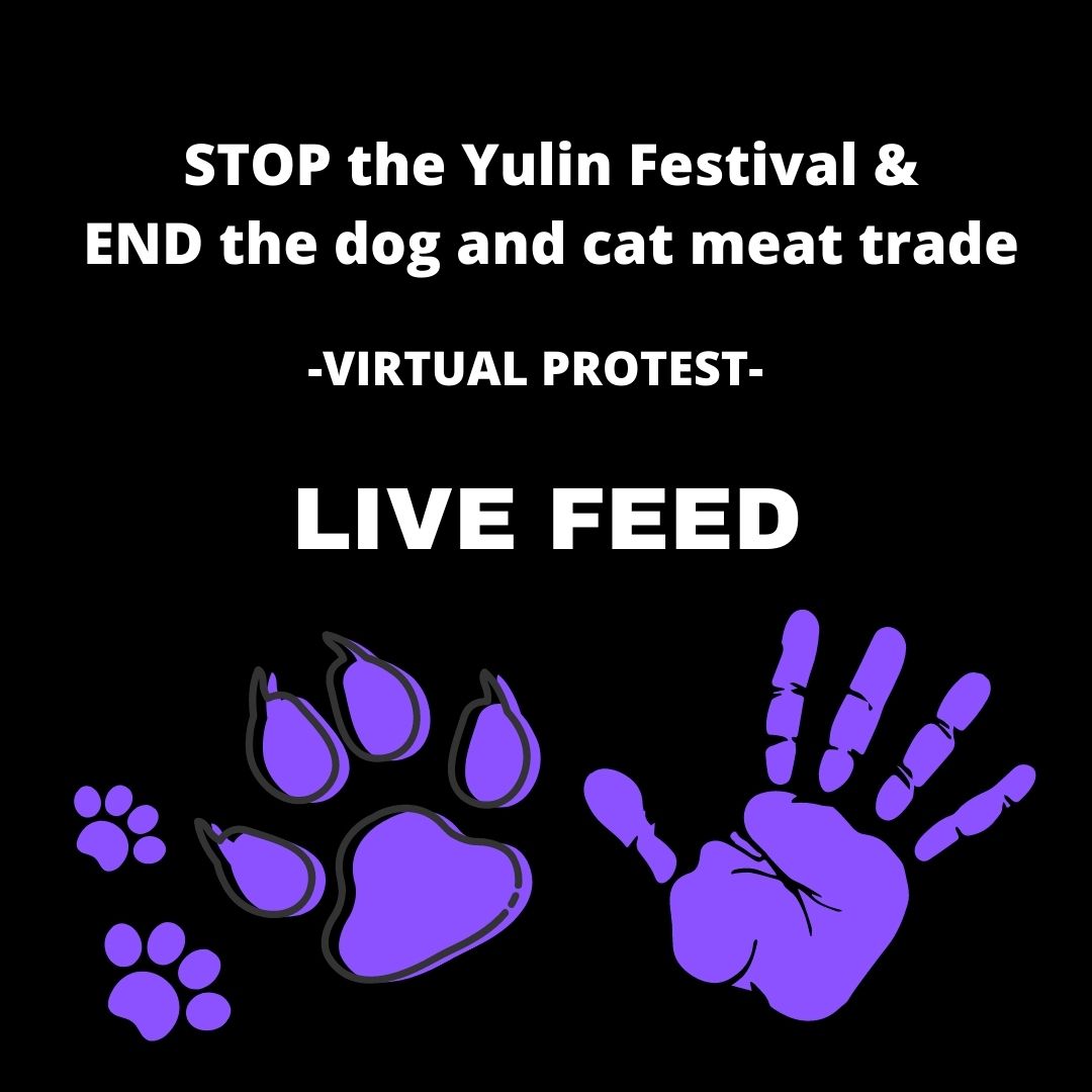 Today Is The First Day Of The Yulin Festival