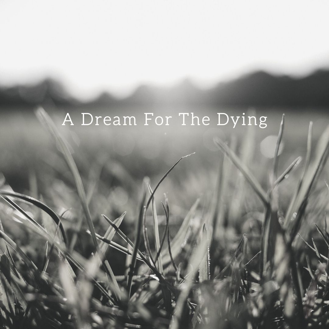A Dream For The Dying