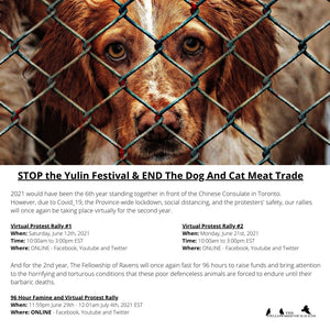 How YOU can help STOP the Yulin Festival and END the dog and cat meat trade! 
