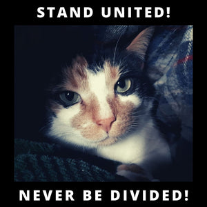 Stand United- Social Media Posts